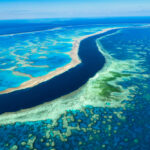 The Wonders of the Great Barrier Reef